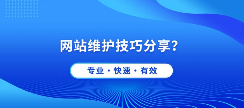 网站定制开发：未来趋势解读